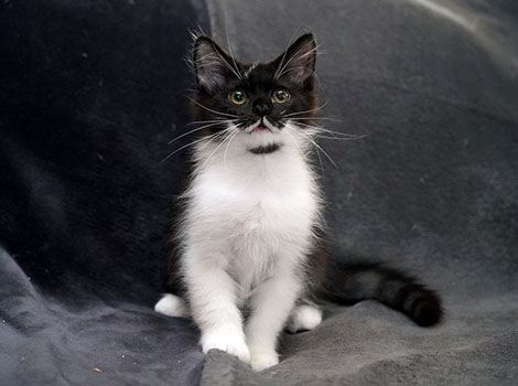 Qualimero am 20.07.2025